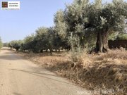 Timpaki Klima Kreta Timbaki außergewöhnliches Baugrundstück Meer- und Bergblick Grundstück kaufen